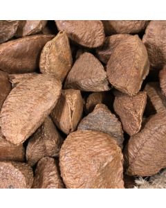 Brazil Nuts In Shell - Human Grade -1kg