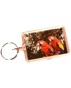 Keyring Scarlet Macaws